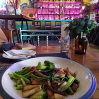 Glass noodles with tofu and mushrooms. I wish the portion was bigger! at Yogis Spicy in Bangkok