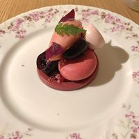   at Amaranth in Merelbeke