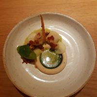  at Amaranth in Merelbeke