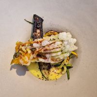  at Amaranth in Merelbeke