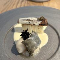   at Amaranth in Merelbeke