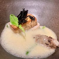 Verse tofu - Koningsoesterzwam - 'ceviche' - zeegroen (menu december 2025) at Amaranth in Merelbeke