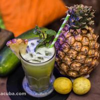 Jugo de Verano (piña, pepino, limón y hierba buena) at El Shamuskia'o in Havana