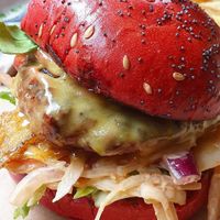  at Doghouse  in Glasgow