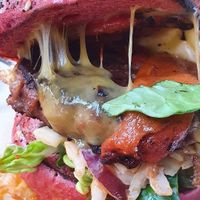  at Doghouse  in Glasgow