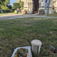 Samosa chaat and mango lassi (all vegan) at The Dal Inn in Stroud