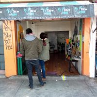 Vegano at VEGuerrero in Mexico City