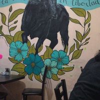   at VEGuerrero in Mexico City