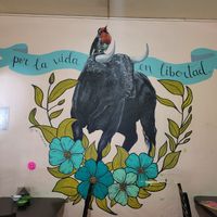 Don't miss the art scene at this place! at VEGuerrero in Mexico City