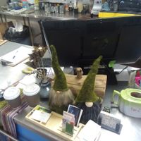 Gnome assistants at Kings Wholefood Artisan in Palmerston