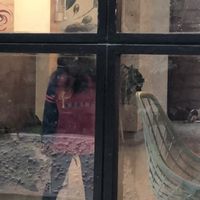 Girl playing with kitten and laser pointer  at El Veggie in Arequipa