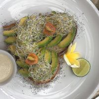 Avo toast with cashew cheese at Lazy Cats  in Ubud