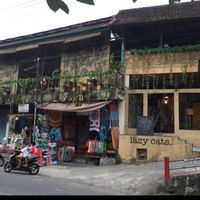 Lazy Cats at Lazy Cats  in Ubud