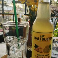  at Lazy Cats  in Ubud