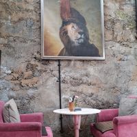 Super cool location at Lazy Cats  in Ubud