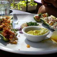 Canopé Zucchini at Lazy Cats  in Ubud