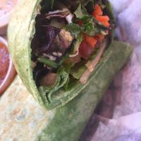 Veggie wrap with hummus  at Casa Maya in St Augustine