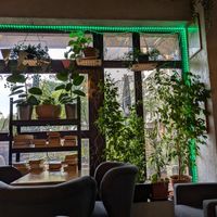  at Warzywniak in Wroclaw