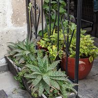  at Omphalos in Arequipa