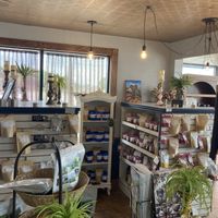 Shop area  at Curiosi-Tea House in Mankato