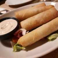 Spring rolls at Haiku in Palermo