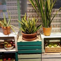 Lovely decor at La Trocadero in Barcelona