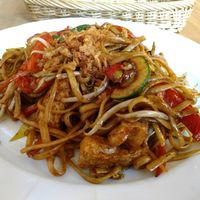 Fried noodles with veggies and tofu at Thai Thai in Koblenz