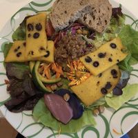 Palenta salad at Restaurant Linnaeus - Sculpture Gallery Het Depot in Wageningen