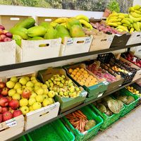 Fruits! 🫶❤️🧡💛💚💜  at Bio Milanes in Malaga