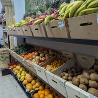  at Bio Milanes in Malaga