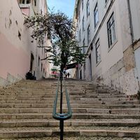 . at Organi Chiado in Lisbon