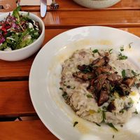 Mushroom risotto with salad included at Organi Chiado in Lisbon