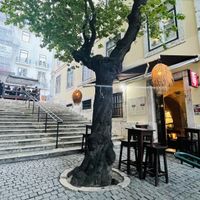   at Organi Chiado in Lisbon