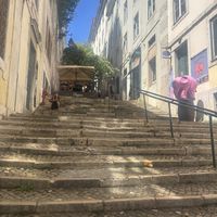   at Organi Chiado in Lisbon