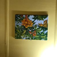 😎 at MCS Grill in Hanapepe