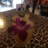 Drake Drank at No Bones Beach Club in Portland