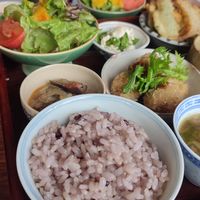  at Natural Food Village in Kyoto