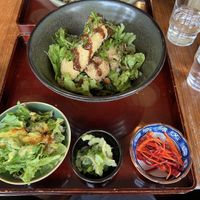 Rice cutlet bowl and sides  at Natural Food Village in Kyoto
