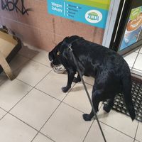 ♥️♥️♥️ at Falafel Zudi in Warsaw