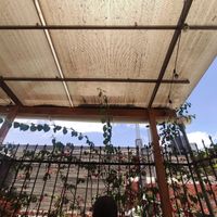  at Las Gringas in Arequipa