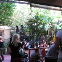 Courtyard at Sappho Books Cafe & Bar in Glebe