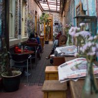 Between Bookstore & Courtyard at Sappho Books Cafe & Bar in Glebe