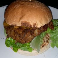 The Phoenix  at Netherworld in Fortitude Valley