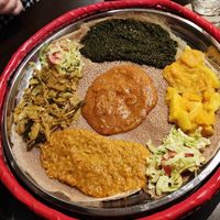  at Savanna in Frankfurt