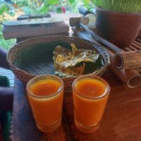 Tumeric shots at Galanga in Bunutan