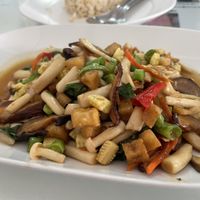 Spicy fried (?) with basil leaves, 45 baht  at Su Ting Sian -Soi Anamai 23 in Khon Kaen