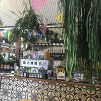 Full of plants! at The Fields Beneath - Kentish Town in North West London