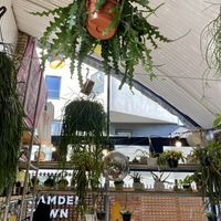 Inside at The Fields Beneath - Kentish Town in North West London