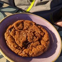  at The Fields Beneath - Kentish Town in North West London