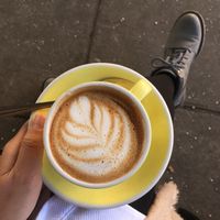 Oatly flat whites at The Fields Beneath - Kentish Town in North West London